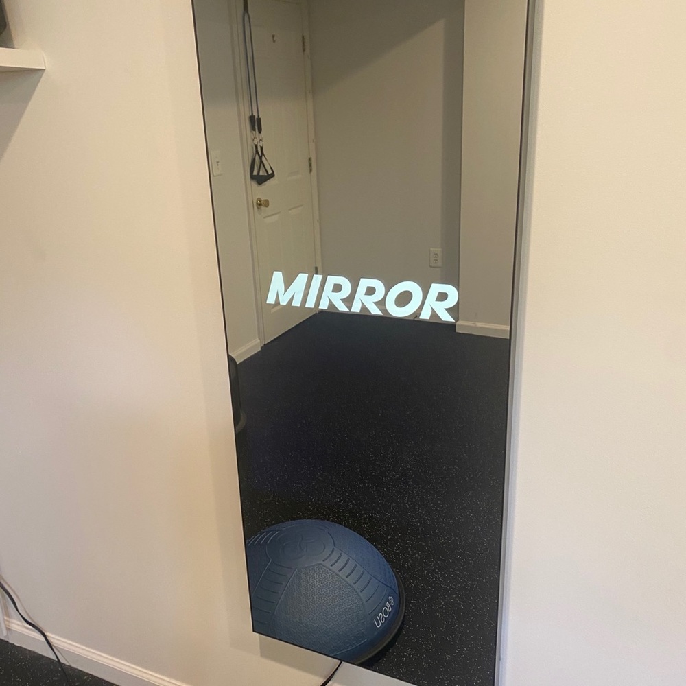 The MIRROR - at home gym
